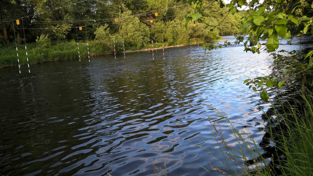 Trainingsstrecke an der Zschopau (flussaufwärts Richtung Braunsdorf) im Sommer bei niedrigen Wasserstand